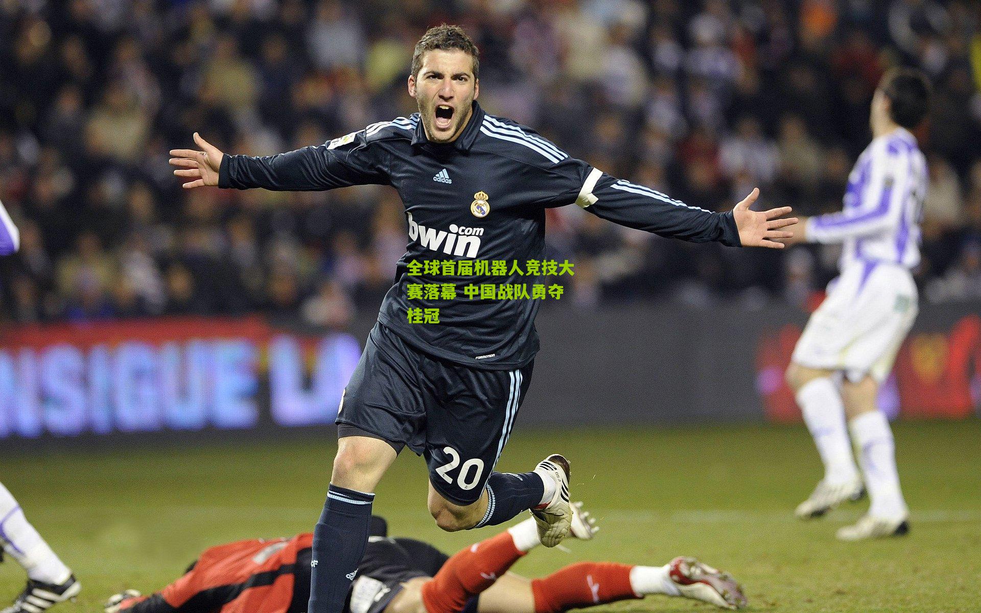 全球首届机器人竞技大赛落幕 中国战队勇夺桂冠