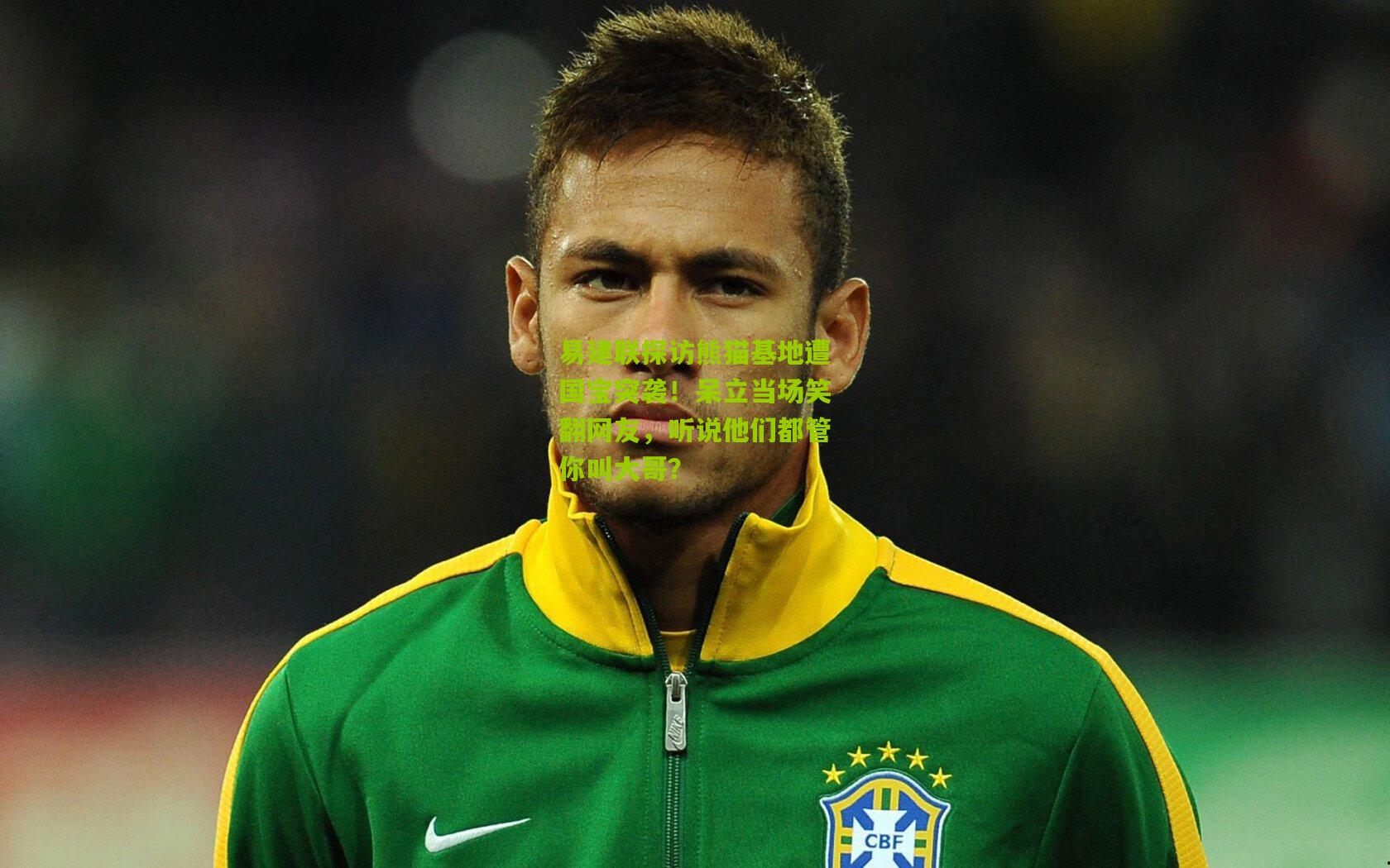 易建联探访熊猫基地遭国宝突袭！呆立当场笑翻网友，听说他们都管你叫大哥？