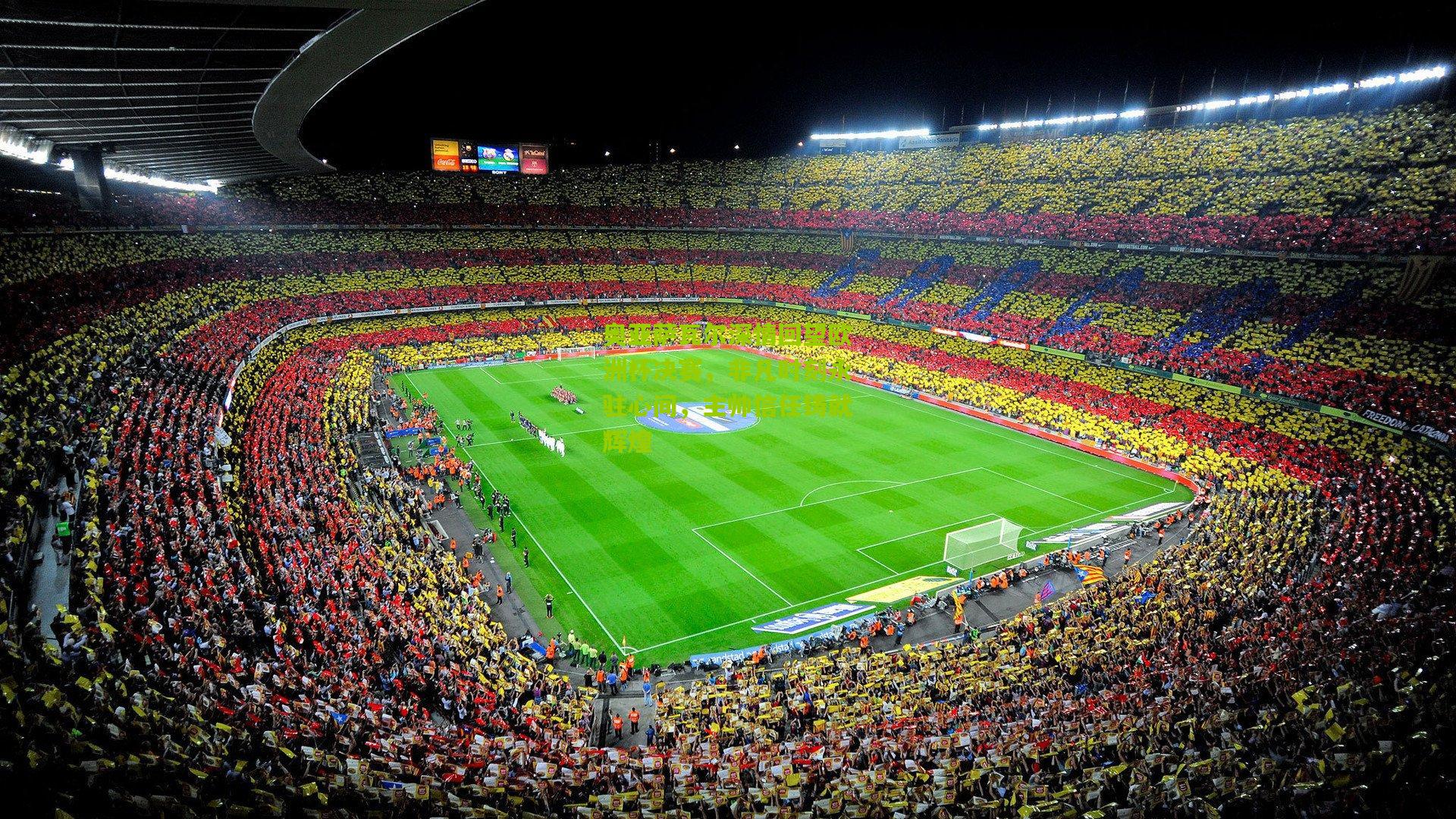 奥亚萨瓦尔深情回望欧洲杯决赛，非凡时刻永驻心间，主帅信任铸就辉煌