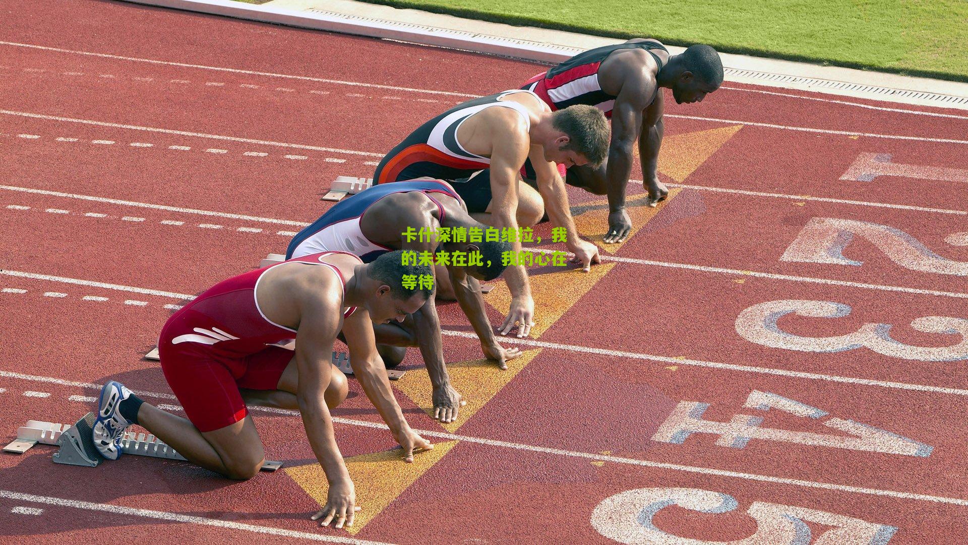 卡什深情告白维拉，我的未来在此，我的心在等待