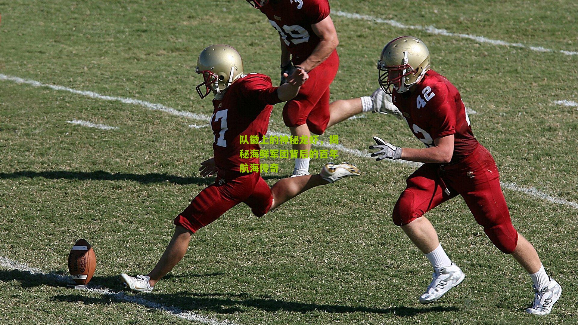 队徽上的神秘龙虾,揭秘海鲜军团背后的百年航海传奇